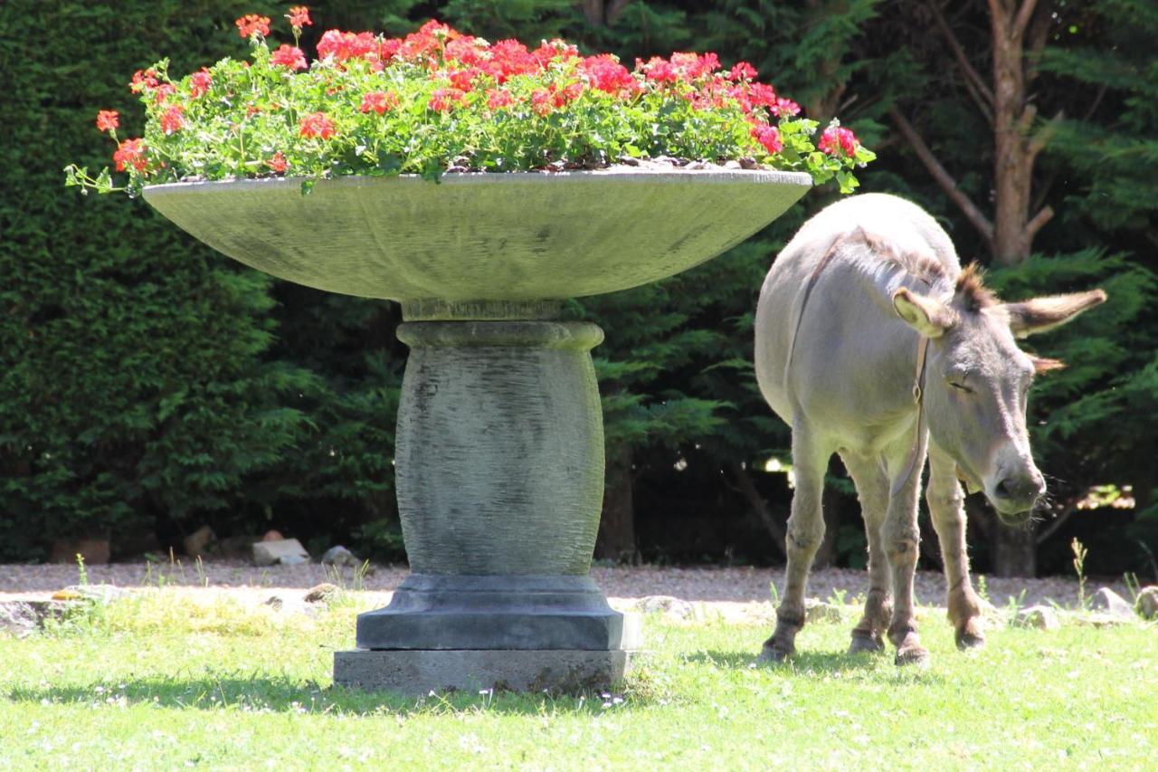 La Ferme De Capucine Bed & Breakfast Culhat Dış mekan fotoğraf