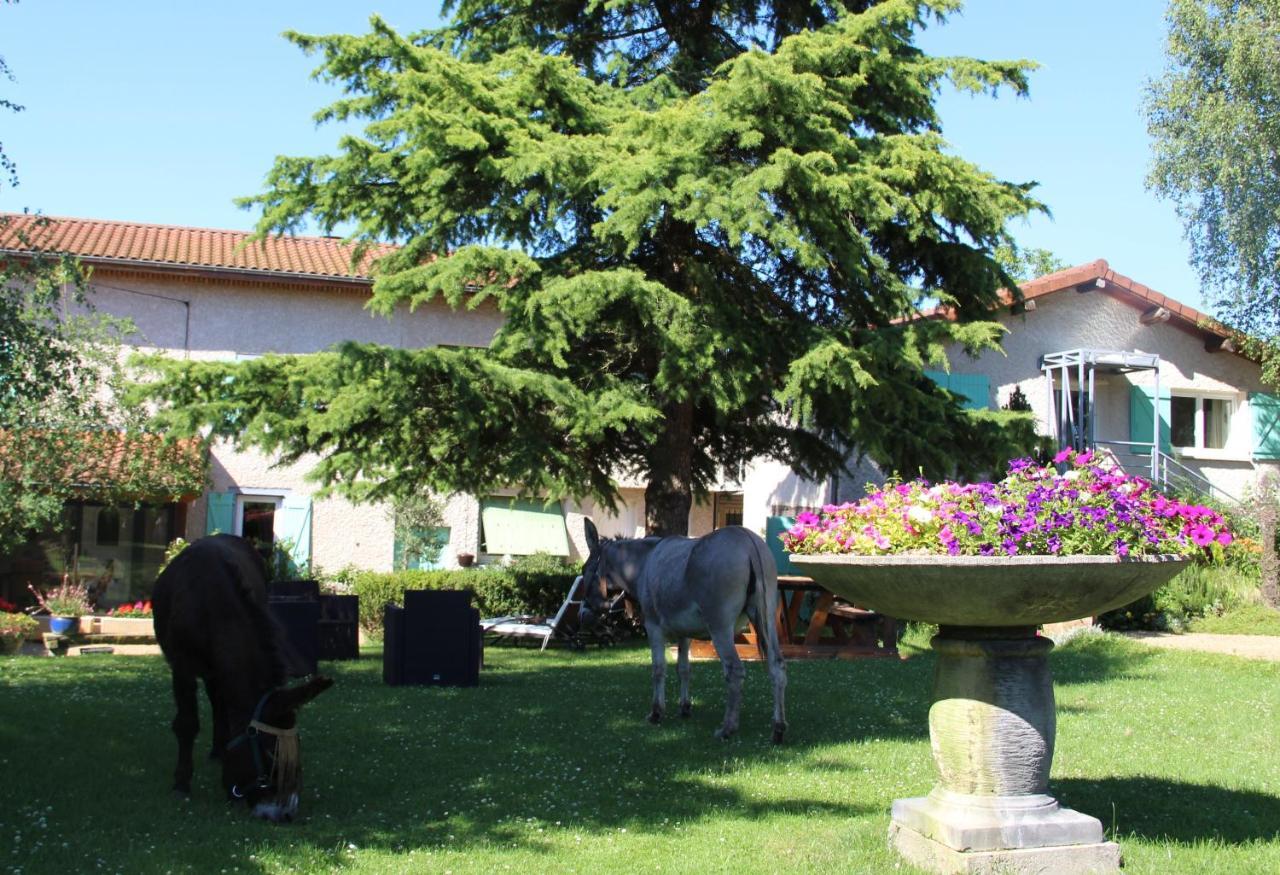 La Ferme De Capucine Bed & Breakfast Culhat Dış mekan fotoğraf