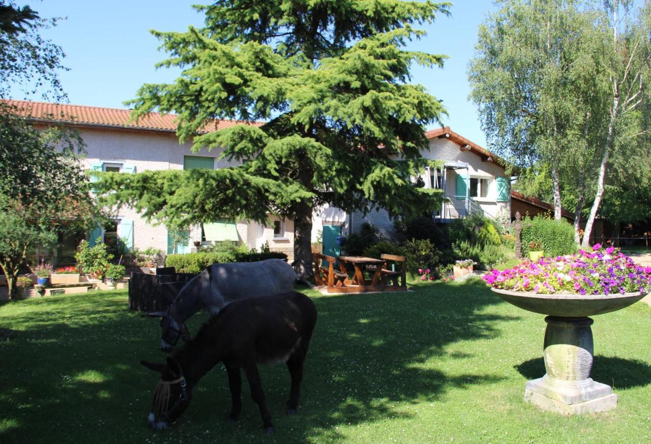 La Ferme De Capucine Bed & Breakfast Culhat Dış mekan fotoğraf